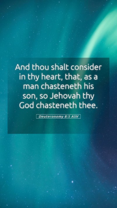 Picture 05 - Deuteronomy 8:5 ASV Mobile Phone Wallpaper - And thou shalt consider in thy heart, that, as a - Mobile Bible Verse Wallpaper