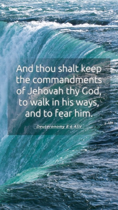 Picture 05 - Deuteronomy 8:6 ASV Mobile Phone Wallpaper - And thou shalt keep the commandments of Jehovah - Mobile Bible Verse Wallpaper