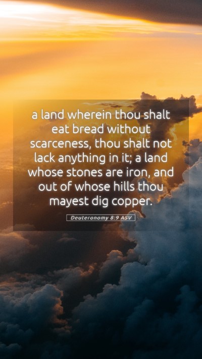 Picture 05 - Deuteronomy 8:9 ASV Mobile Phone Wallpaper - a land wherein thou shalt eat bread without - Mobile Bible Verse Wallpaper