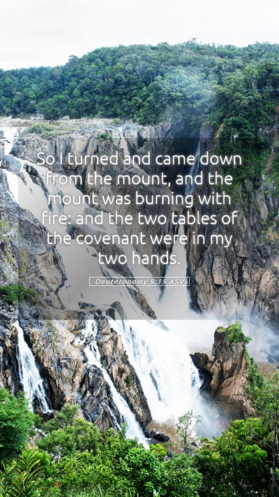 Picture 05 - Deuteronomy 9:15 ASV Mobile Phone Wallpaper - So I turned and came down from the mount, and the - Mobile Bible Verse Wallpaper
