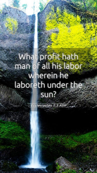 Picture 05 - Ecclesiastes 1:3 ASV Mobile Phone Wallpaper - What profit hath man of all his labor wherein he - Mobile Bible Verse Wallpaper