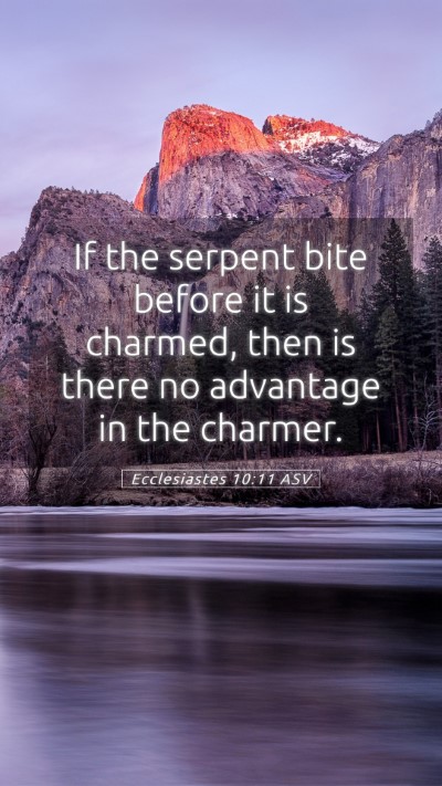 Picture 05 - Ecclesiastes 10:11 ASV Mobile Phone Wallpaper - If the serpent bite before it is charmed, then is - Mobile Bible Verse Wallpaper
