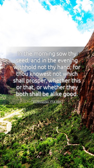 Picture 05 - Ecclesiastes 11:6 ASV Mobile Phone Wallpaper - In the morning sow thy seed, and in the evening - Mobile Bible Verse Wallpaper