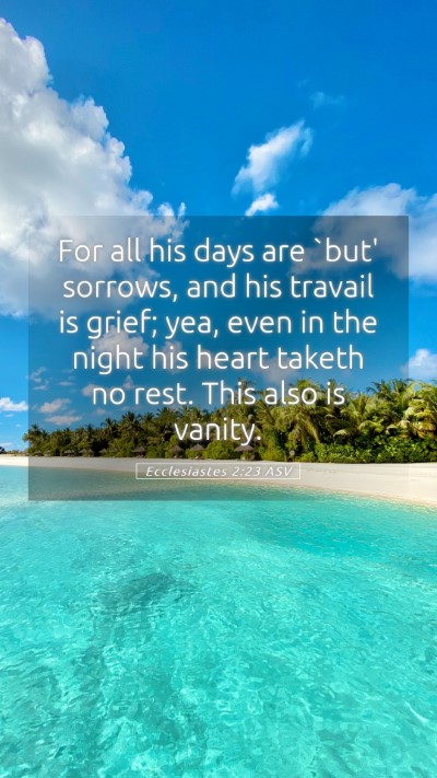 Picture 05 - Ecclesiastes 2:23 ASV Mobile Phone Wallpaper - For all his days are `but' sorrows, and his - Mobile Bible Verse Wallpaper
