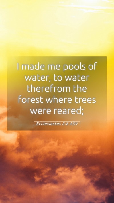Picture 05 - Ecclesiastes 2:6 ASV Mobile Phone Wallpaper - I made me pools of water, to water therefrom the - Mobile Bible Verse Wallpaper