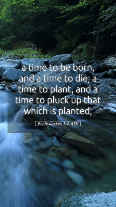 Picture 05 - Ecclesiastes 3:2 ASV Mobile Phone Wallpaper - a time to be born, and a time to die; a time to - Mobile Bible Verse Wallpaper
