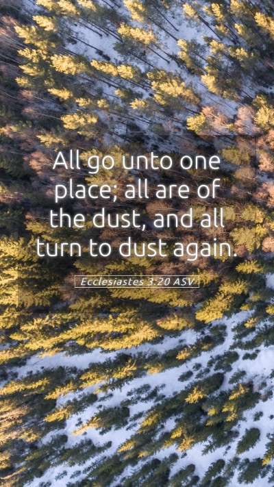 Picture 05 - Ecclesiastes 3:20 ASV Mobile Phone Wallpaper - All go unto one place; all are of the dust, and - Mobile Bible Verse Wallpaper