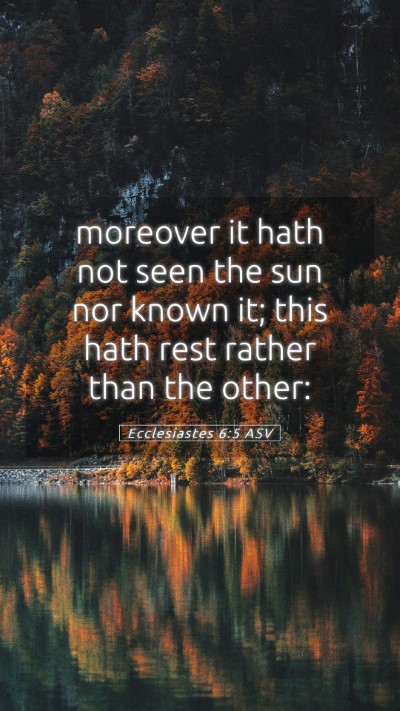 Picture 05 - Ecclesiastes 6:5 ASV Mobile Phone Wallpaper - moreover it hath not seen the sun nor known it; - Mobile Bible Verse Wallpaper