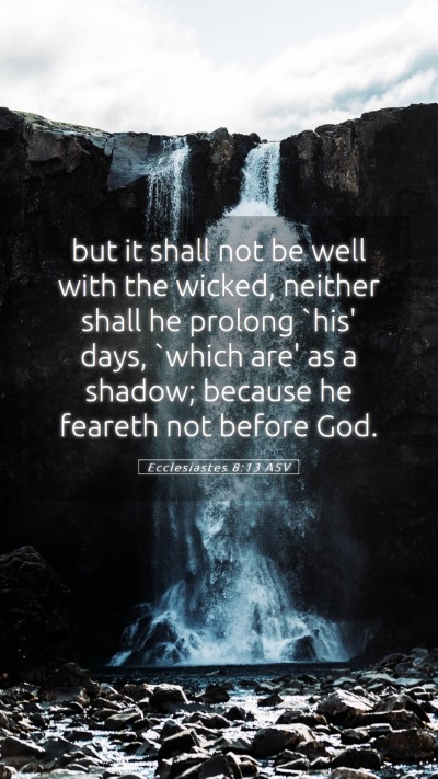 Picture 05 - Ecclesiastes 8:13 ASV Mobile Phone Wallpaper - but it shall not be well with the wicked, neither - Mobile Bible Verse Wallpaper