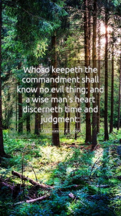 Picture 05 - Ecclesiastes 8:5 ASV Mobile Phone Wallpaper - Whoso keepeth the commandment shall know no evil - Mobile Bible Verse Wallpaper