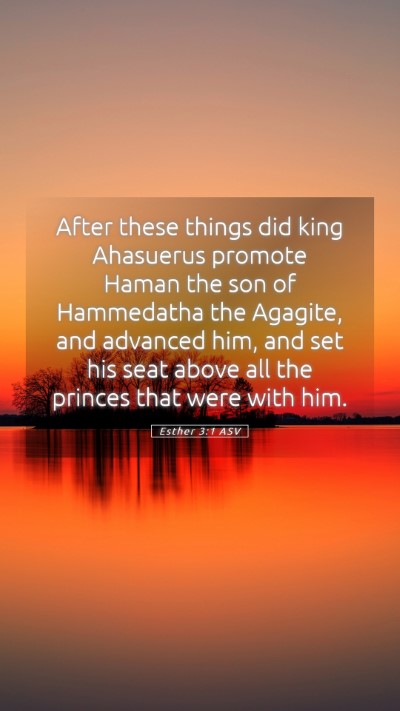 Picture 05 - Esther 3:1 ASV Mobile Phone Wallpaper - After these things did king Ahasuerus promote - Mobile Bible Verse Wallpaper