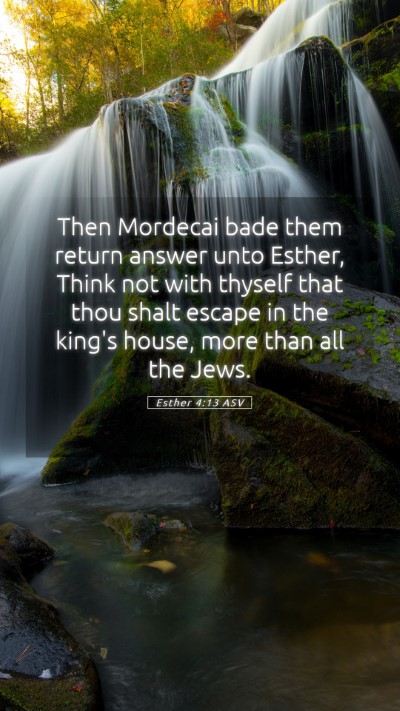 Picture 05 - Esther 4:13 ASV Mobile Phone Wallpaper - Then Mordecai bade them return answer unto - Mobile Bible Verse Wallpaper