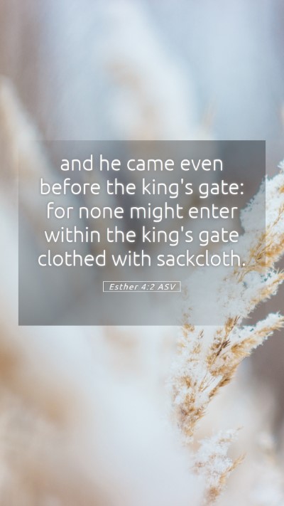 Picture 05 - Esther 4:2 ASV Mobile Phone Wallpaper - and he came even before the king's gate: for none - Mobile Bible Verse Wallpaper