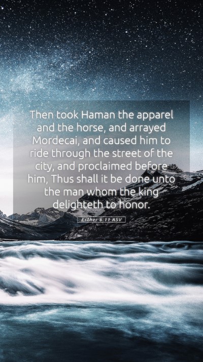 Picture 05 - Esther 6:11 ASV Mobile Phone Wallpaper - Then took Haman the apparel and the horse, and - Mobile Bible Verse Wallpaper