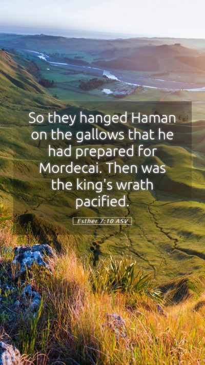 Picture 05 - Esther 7:10 ASV Mobile Phone Wallpaper - So they hanged Haman on the gallows that he had - Mobile Bible Verse Wallpaper