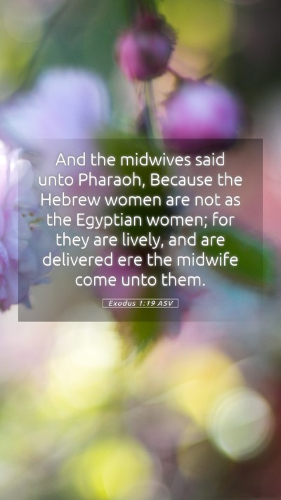 Picture 05 - Exodus 1:19 ASV Mobile Phone Wallpaper - And the midwives said unto Pharaoh, Because the - Mobile Bible Verse Wallpaper