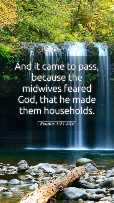 Picture 05 - Exodus 1:21 ASV Mobile Phone Wallpaper - And it came to pass, because the midwives feared - Mobile Bible Verse Wallpaper