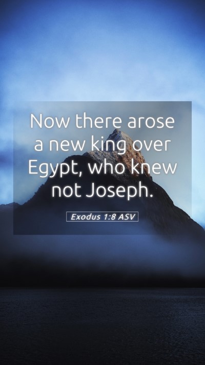 Picture 05 - Exodus 1:8 ASV Mobile Phone Wallpaper - Now there arose a new king over Egypt, who knew - Mobile Bible Verse Wallpaper