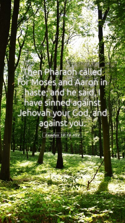 Picture 05 - Exodus 10:16 ASV Mobile Phone Wallpaper - Then Pharaoh called for Moses and Aaron in haste; - Mobile Bible Verse Wallpaper