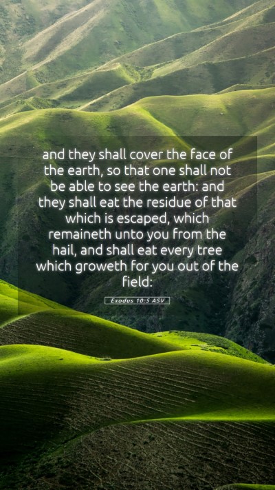 Picture 05 - Exodus 10:5 ASV Mobile Phone Wallpaper - and they shall cover the face of the earth, so - Mobile Bible Verse Wallpaper