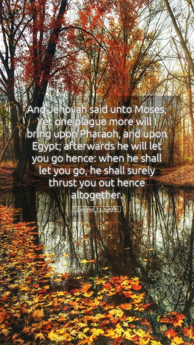 Picture 05 - Exodus 11:1 ASV Mobile Phone Wallpaper - And Jehovah said unto Moses, Yet one plague more - Mobile Bible Verse Wallpaper