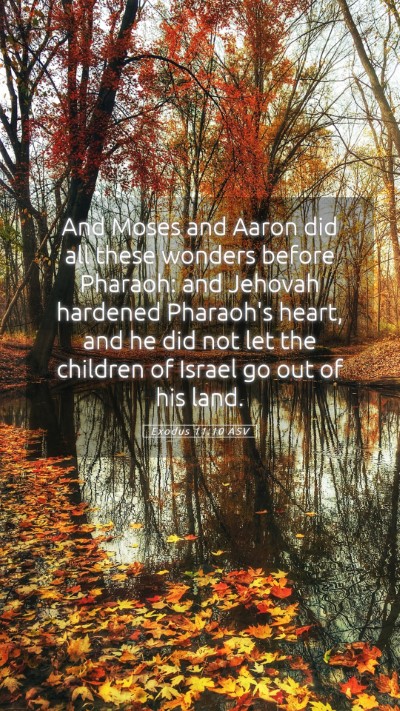 Picture 05 - Exodus 11:10 ASV Mobile Phone Wallpaper - And Moses and Aaron did all these wonders before - Mobile Bible Verse Wallpaper