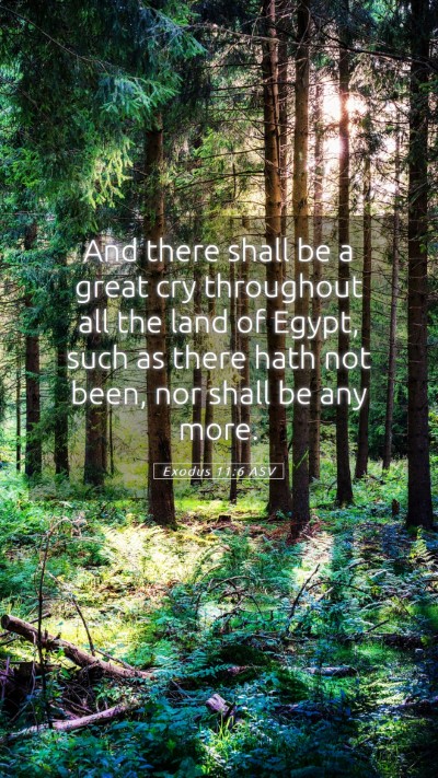 Picture 05 - Exodus 11:6 ASV Mobile Phone Wallpaper - And there shall be a great cry throughout all the - Mobile Bible Verse Wallpaper