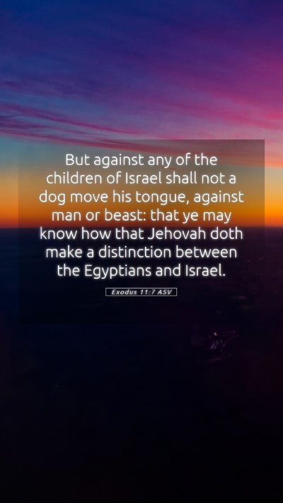 Picture 05 - Exodus 11:7 ASV Mobile Phone Wallpaper - But against any of the children of Israel shall - Mobile Bible Verse Wallpaper