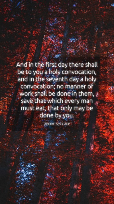 Picture 05 - Exodus 12:16 ASV Mobile Phone Wallpaper - And in the first day there shall be to you a holy - Mobile Bible Verse Wallpaper