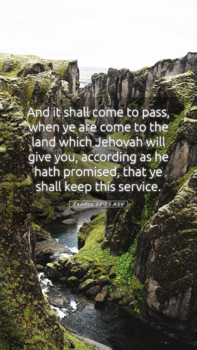 Picture 05 - Exodus 12:25 ASV Mobile Phone Wallpaper - And it shall come to pass, when ye are come to - Mobile Bible Verse Wallpaper