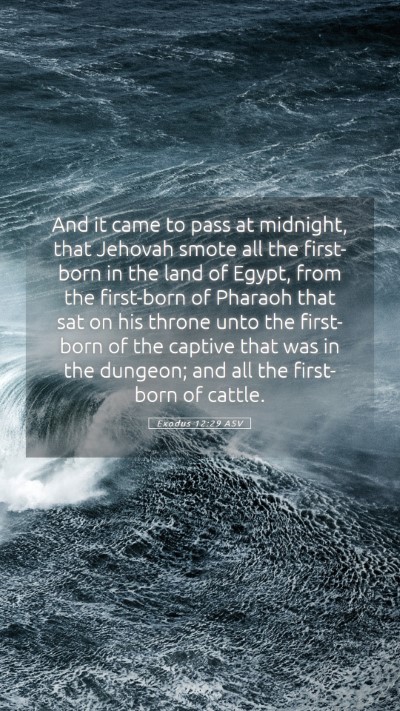 Picture 05 - Exodus 12:29 ASV Mobile Phone Wallpaper - And it came to pass at midnight, that Jehovah - Mobile Bible Verse Wallpaper