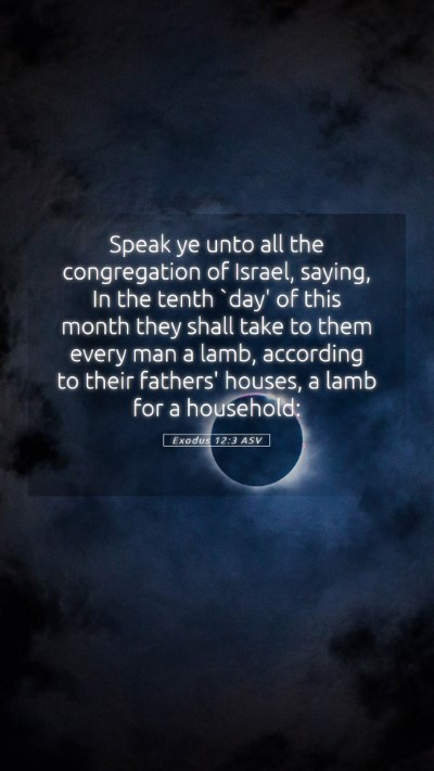 Picture 05 - Exodus 12:3 ASV Mobile Phone Wallpaper - Speak ye unto all the congregation of Israel, - Mobile Bible Verse Wallpaper