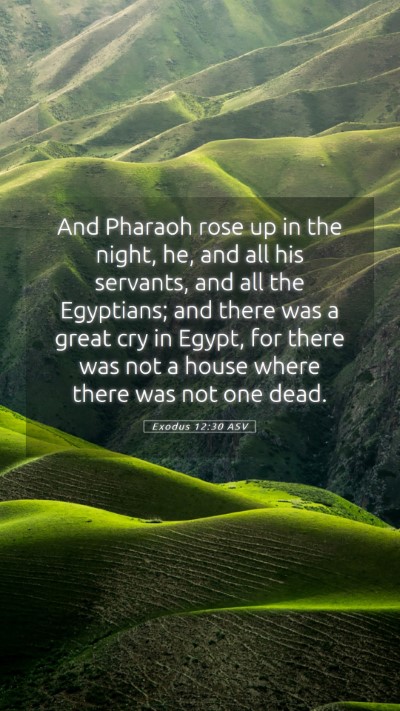 Picture 05 - Exodus 12:30 ASV Mobile Phone Wallpaper - And Pharaoh rose up in the night, he, and all his - Mobile Bible Verse Wallpaper