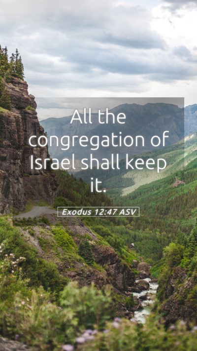 Picture 05 - Exodus 12:47 ASV Mobile Phone Wallpaper - All the congregation of Israel shall keep - Mobile Bible Verse Wallpaper