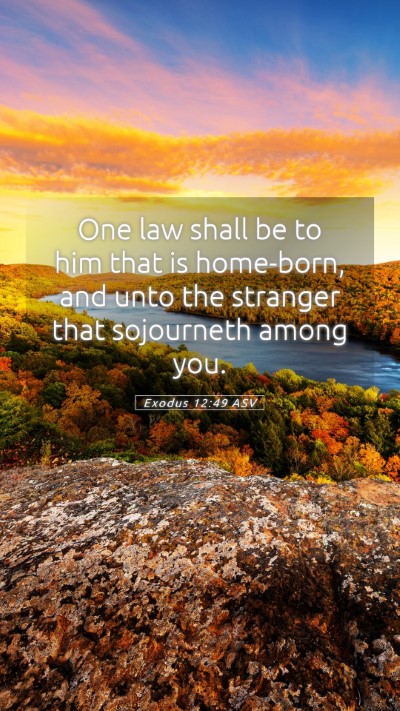Picture 05 - Exodus 12:49 ASV Mobile Phone Wallpaper - One law shall be to him that is home-born, and - Mobile Bible Verse Wallpaper