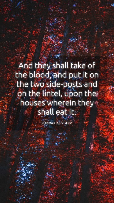 Picture 05 - Exodus 12:7 ASV Mobile Phone Wallpaper - And they shall take of the blood, and put it on - Mobile Bible Verse Wallpaper