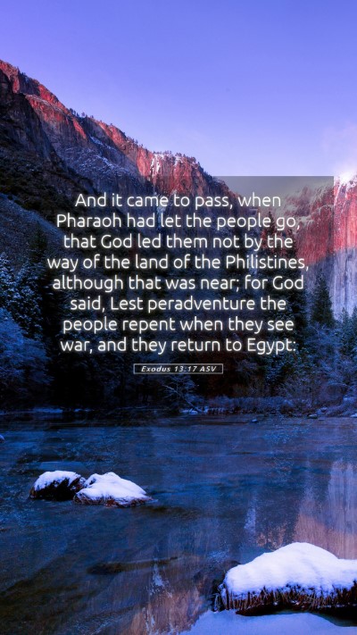 Picture 05 - Exodus 13:17 ASV Mobile Phone Wallpaper - And it came to pass, when Pharaoh had let the - Mobile Bible Verse Wallpaper