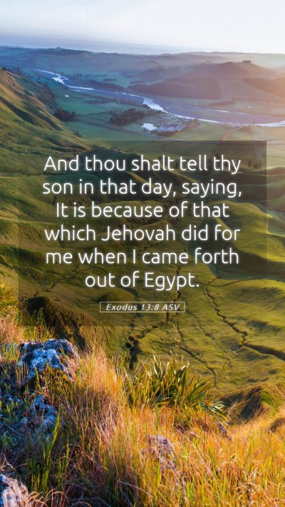 Picture 05 - Exodus 13:8 ASV Mobile Phone Wallpaper - And thou shalt tell thy son in that day, saying, - Mobile Bible Verse Wallpaper
