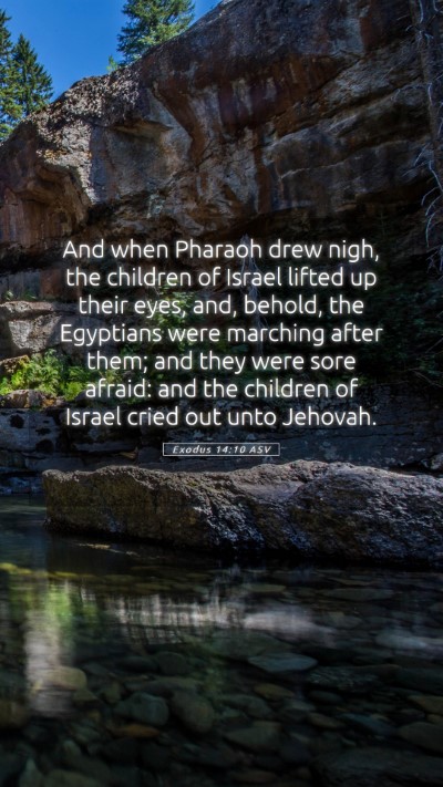 Picture 05 - Exodus 14:10 ASV Mobile Phone Wallpaper - And when Pharaoh drew nigh, the children of - Mobile Bible Verse Wallpaper