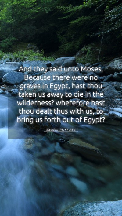 Picture 05 - Exodus 14:11 ASV Mobile Phone Wallpaper - And they said unto Moses, Because there were no - Mobile Bible Verse Wallpaper