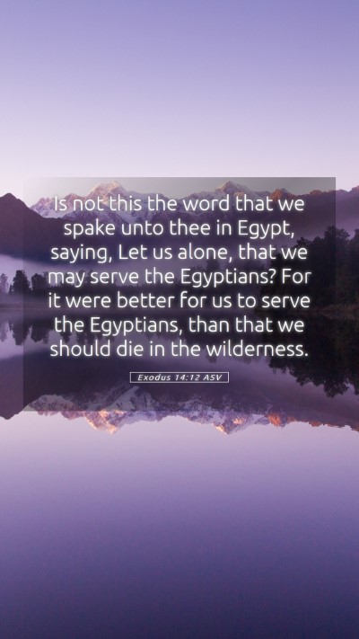 Picture 05 - Exodus 14:12 ASV Mobile Phone Wallpaper - Is not this the word that we spake unto thee in - Mobile Bible Verse Wallpaper