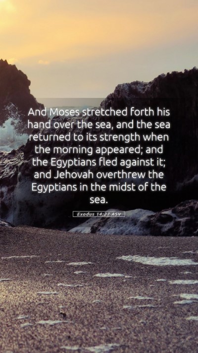 Picture 05 - Exodus 14:27 ASV Mobile Phone Wallpaper - And Moses stretched forth his hand over the sea, - Mobile Bible Verse Wallpaper