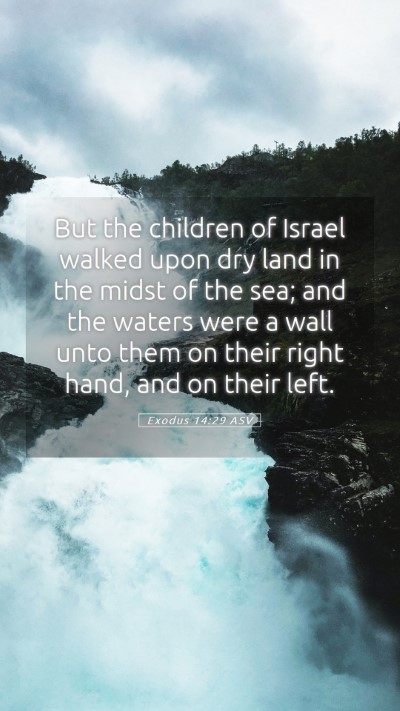 Picture 05 - Exodus 14:29 ASV Mobile Phone Wallpaper - But the children of Israel walked upon dry land - Mobile Bible Verse Wallpaper