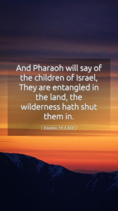 Picture 05 - Exodus 14:3 ASV Mobile Phone Wallpaper - And Pharaoh will say of the children of Israel, - Mobile Bible Verse Wallpaper