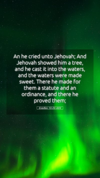 Picture 05 - Exodus 15:25 ASV Mobile Phone Wallpaper - An he cried unto Jehovah; And Jehovah showed him - Mobile Bible Verse Wallpaper