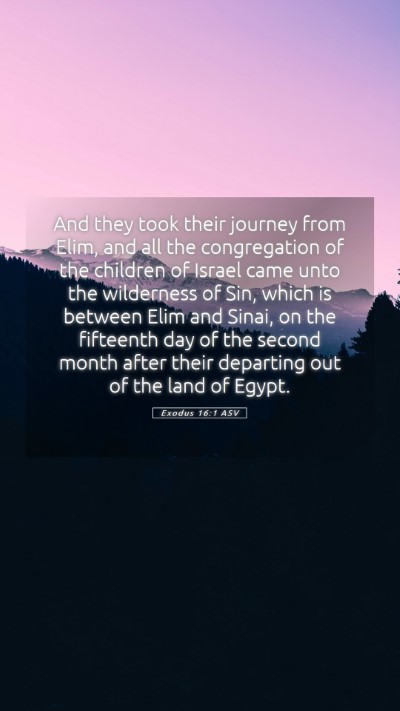 Picture 05 - Exodus 16:1 ASV Mobile Phone Wallpaper - And they took their journey from Elim, and all - Mobile Bible Verse Wallpaper