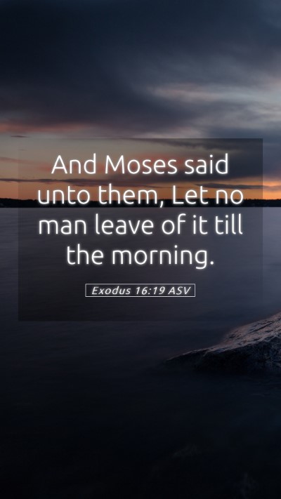 Picture 05 - Exodus 16:19 ASV Mobile Phone Wallpaper - And Moses said unto them, Let no man leave of it - Mobile Bible Verse Wallpaper