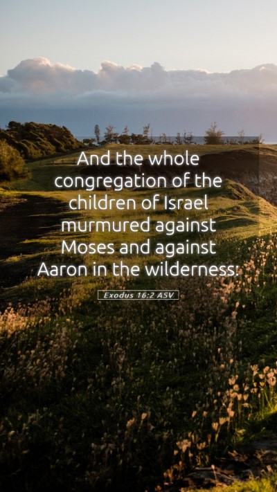 Picture 05 - Exodus 16:2 ASV Mobile Phone Wallpaper - And the whole congregation of the children of - Mobile Bible Verse Wallpaper