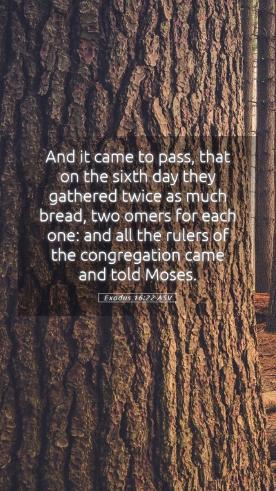 Picture 05 - Exodus 16:22 ASV Mobile Phone Wallpaper - And it came to pass, that on the sixth day they - Mobile Bible Verse Wallpaper