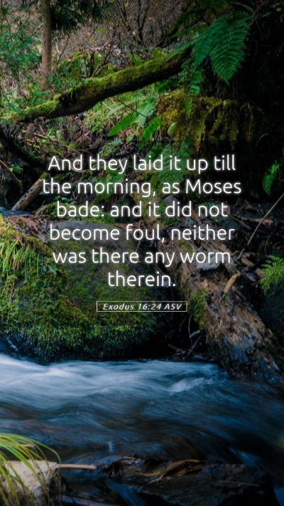 Picture 05 - Exodus 16:24 ASV Mobile Phone Wallpaper - And they laid it up till the morning, as Moses - Mobile Bible Verse Wallpaper